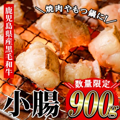 【数量限定】鹿児島県産 黒毛和牛 小腸 900g(700g+200g)