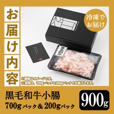 【数量限定】鹿児島県産 黒毛和牛 小腸 900g(700g+200g)