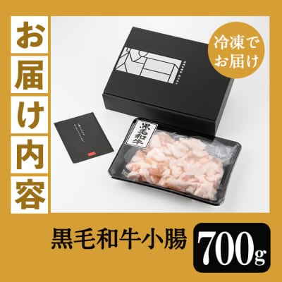 鹿児島県産黒毛和牛 小腸(ホルモン)700g