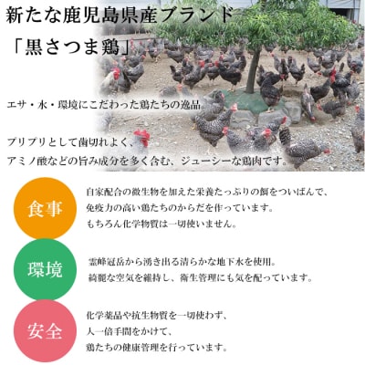 鹿児島県産!3種の鶏タタキセット(計:約800g)
