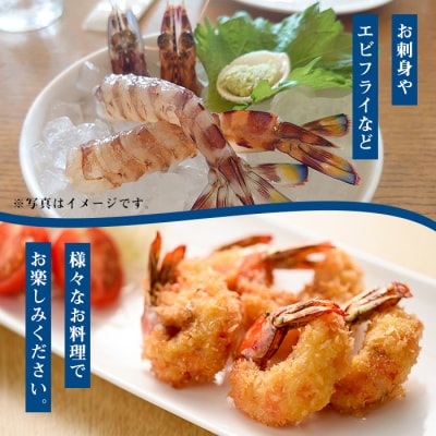 鹿児島県産!冷凍クルマエビ 500g 10尾(25g/尾)×2袋!活き車海老を急速冷凍しました♪