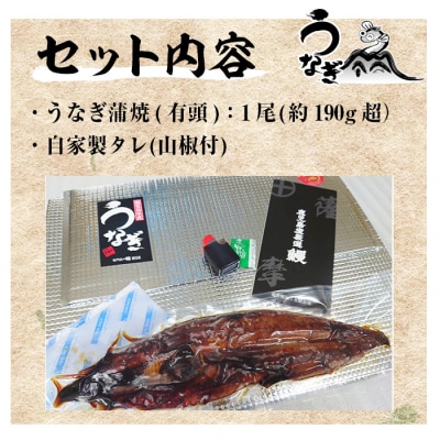 訳あり!国産うなぎ(鹿児島県産うなぎ)蒲焼 特大 190g超