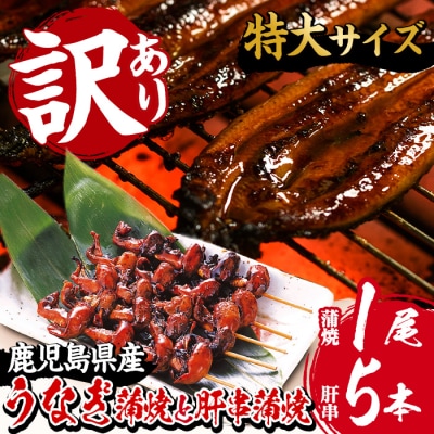 国産うなぎ蒲焼 特大 190g超 と国産うなぎ 肝串1袋(5本入)(鹿児島県産うなぎ)