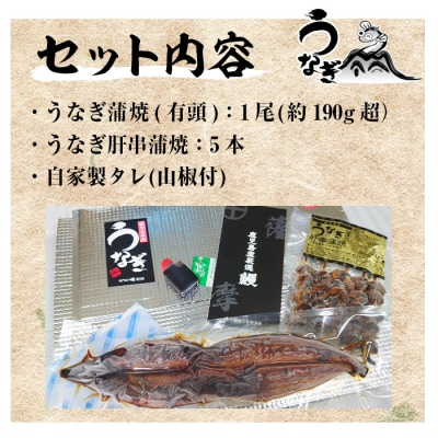 国産うなぎ蒲焼 特大 190g超 と国産うなぎ 肝串1袋(5本入)(鹿児島県産うなぎ)