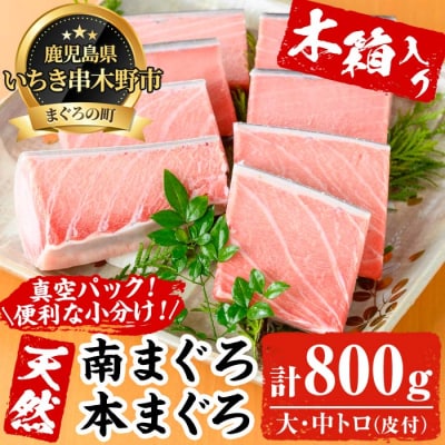 贈答用におすすめ!逸品の天然高級マグロ約800g(木箱入り)