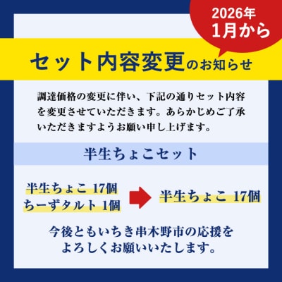 【家計応援】【訳あり】ご自宅用!半生ちょこ 17個+とろとろちーずタルト 1個　合計18個