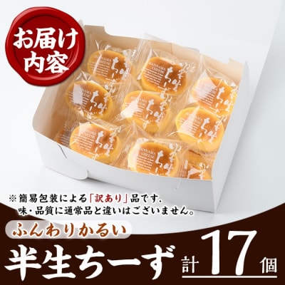 【訳あり】ご自宅用!半生ちーず 合計17個