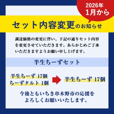 【家計応援】【訳あり】ご自宅用!半生ちーず 17個+とろとろちーずタルト 1個　合計18個