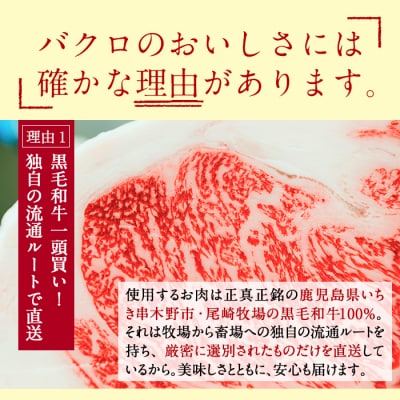 鹿児島県産黒毛和牛100%ミンチ(約350g×2パック・約700g)