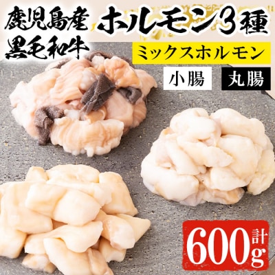 黒毛和牛ホルモン3種盛合わせ(小腸:200g 丸腸:200g ミックスホルモン:200g)