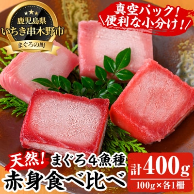 天然まぐろ4魚種(南マグロ・本マグロなど)赤身食べ比べセット 計約400g