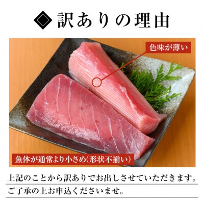 【訳あり】数量限定 天然キハダマグロ 200g前後×4-6柵 1kg