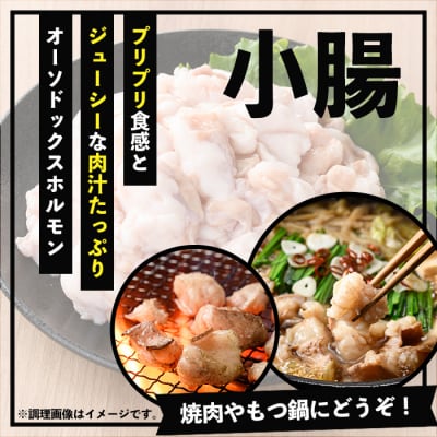 鹿児島県産黒毛和牛の小腸 ホルモン 600g(300g×2P)