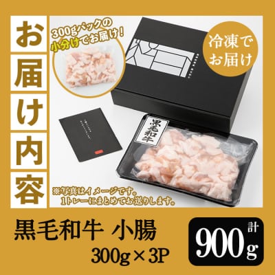 【数量限定】鹿児島県産黒毛和牛の小腸 ホルモン 900g(300g×3P)