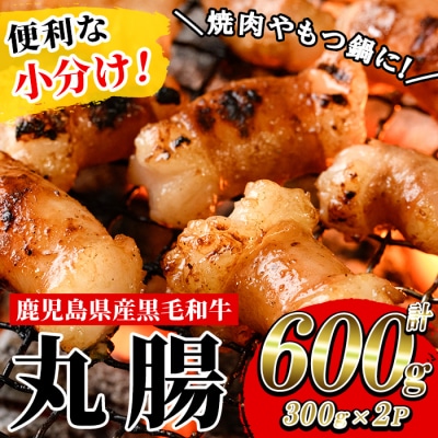 ホルモン 丸腸 約600g (300g×2P) 鹿児島県産 黒毛和牛