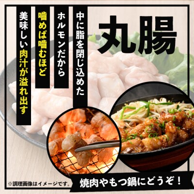 国産 ホルモン 丸腸 約600g (300g×2P) 鹿児島県産 黒毛和牛