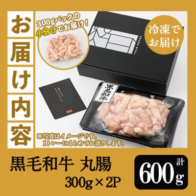 ホルモン 丸腸 約600g (300g×2P) 鹿児島県産 黒毛和牛