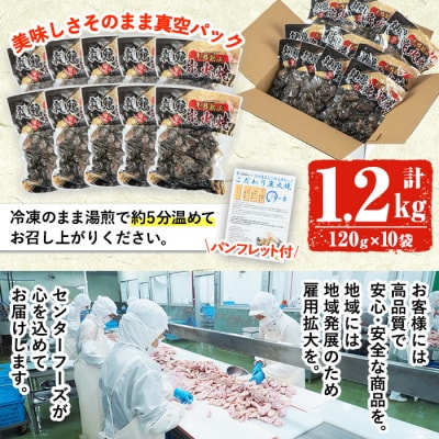 冷凍 国産親どりもも・むね炭火焼(120g×10パック計1.2kg)　少量小分けで使いやすい♪