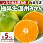 【先行受付・数量限定】極早生 温州みかん 5kg 箱満杯バラ詰め! S～Lサイズ