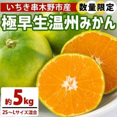 【数量・期間限定】極早生 温州みかん 5kg 箱満杯バラ詰め! 2S～Lサイズ