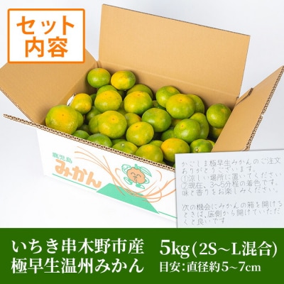 【数量・期間限定】極早生 温州みかん 5kg 箱満杯バラ詰め! 2S～Lサイズ