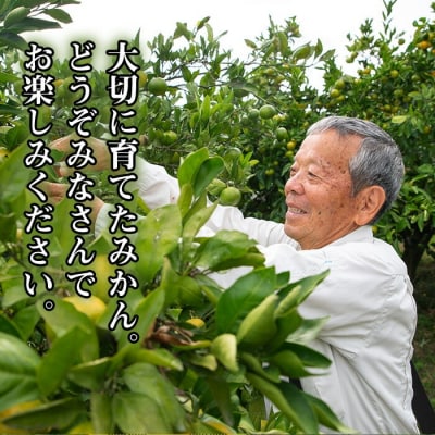 【数量・期間限定】極早生 温州みかん 5kg 箱満杯バラ詰め! 2S～Lサイズ