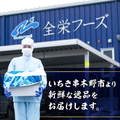 国産!豆アジの干物(計30枚・6枚×5パック) 