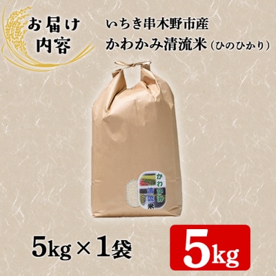 【令和6年度 新米 】米 5kg(5kg×1袋)かわかみ清流米(ひのひかり)