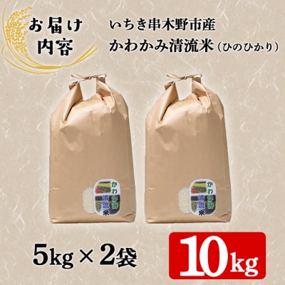 【令和6年度 新米 】米 10kg(5kg×2袋)かわかみ清流米(ひのひかり)