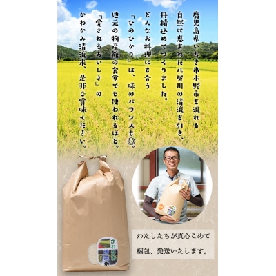 【令和6年度 新米 】米 10kg(10kg×1袋)かわかみ清流米(ひのひかり)