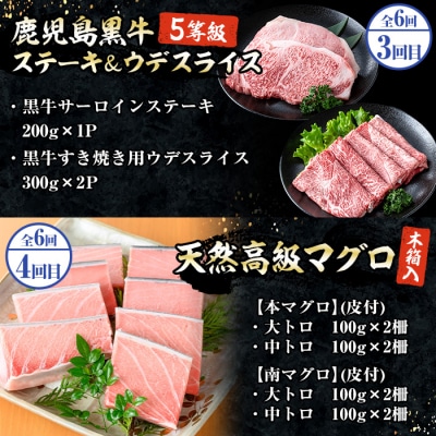 <6ヶ月定期便>いちき串木野プレミアム定期便(マグロ・鰻・牛肉)