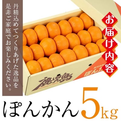 JAさつま日置 いちき串木野産 ポンカン 約5kg(2L・L)化粧箱入り