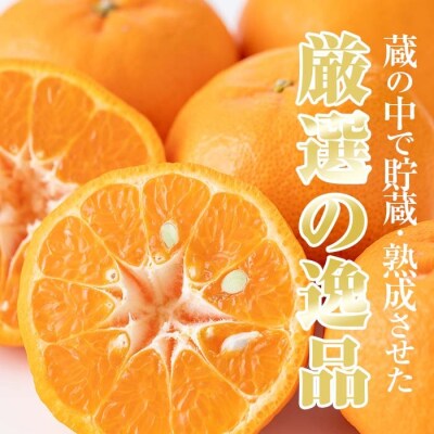 <先行予約>＼数量・期間限定/本格貯蔵 ぽんかん薩州薩摩 約5kg 化粧箱入り