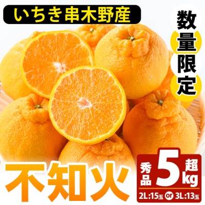 池之上果樹園の不知火 5kg超え (3L13玉 または 2L15玉) しらぬい デコポン と 同品種