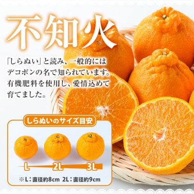 池之上果樹園の不知火 5kg超え (3L13玉 または 2L15玉) しらぬい デコポン と 同品種