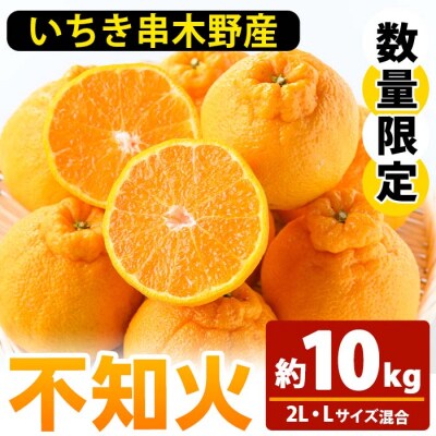 <1月中旬から順次発送>池之上果樹園の不知火(しらぬい)2L・Lサイズ10㎏箱バラ詰め満杯!