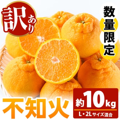 数量限定【訳アリ】池之上果樹園の不知火 10kg L・2Lサイズ 混合 バラ詰め満杯 しらぬい