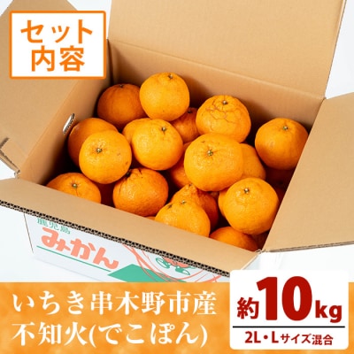 数量限定【訳アリ】池之上果樹園の不知火 10kg L・2Lサイズ 混合 バラ詰め満杯 しらぬい
