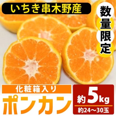 <s\>_ʁEԌ/rVʎ̏{̃|Jϔ5kg(24`30)