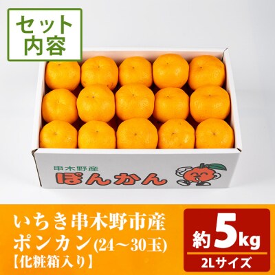 ＼数量・期間限定/池之上果樹園の旬のポンカン化粧箱入り約5kg(約24～30玉)