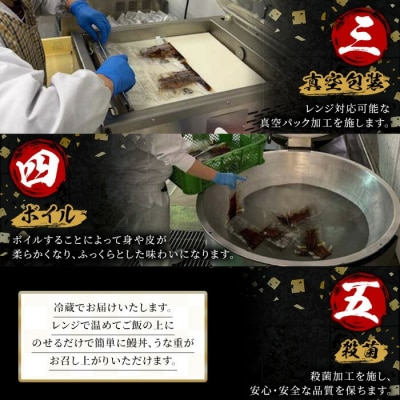 鹿児島県産 うなぎ 蒲焼 300g(60g×5袋) 冷蔵