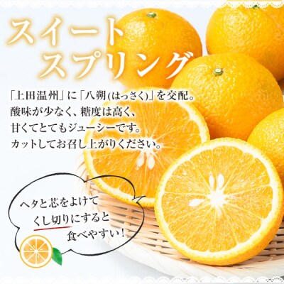池之上果樹園のスイートスプリング10kg箱満杯バラ詰め