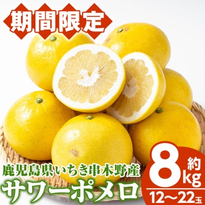 <先行予約>磯部農園のサワーポメロ8kg箱バラ詰め(12玉～22玉)