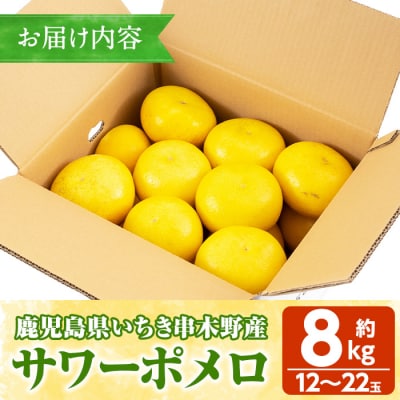<先行予約>磯部農園のサワーポメロ8kg箱バラ詰め(12玉～22玉)