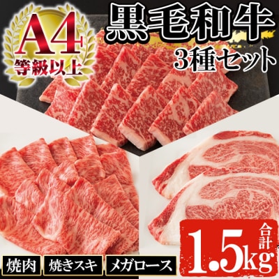 鹿児島県産黒毛和牛3種盛り合わせBセット1500g(メガロース肉・焼肉用赤身肉・焼きスキロース肉)
