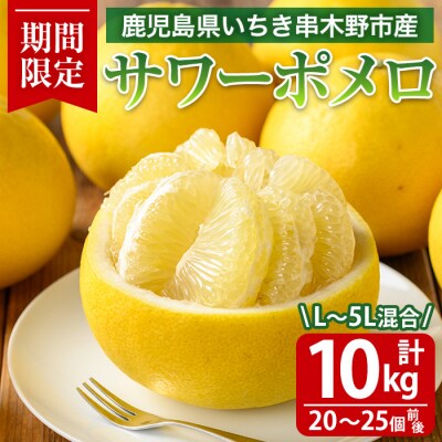 <期間限定・数量限定>木之下果樹園のサワーポメロ10kg箱バラ詰め(20～25個前後)