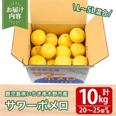 <期間限定・数量限定>木之下果樹園のサワーポメロ10kg箱バラ詰め(20～25個前後)