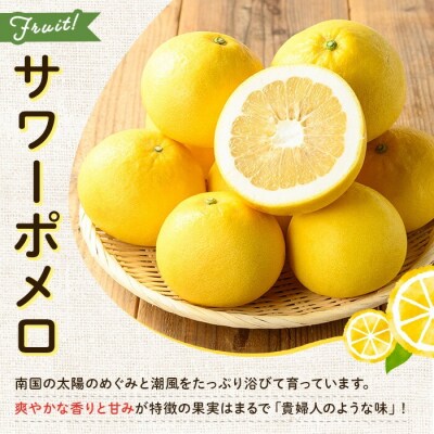 <期間限定・数量限定>木之下果樹園のサワーポメロ10kg箱バラ詰め(20～25個前後)