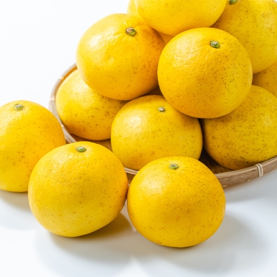 3月から発送!いちき串木野市特産サワーポメロ8kg箱(L～5Lサイズ/9玉～19玉)