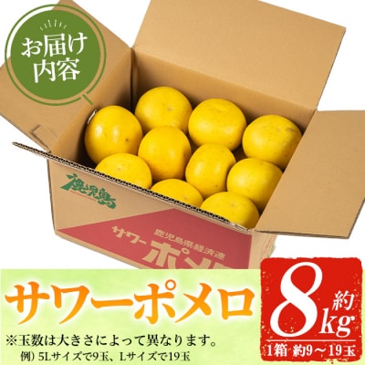 3月から発送!いちき串木野市特産サワーポメロ8kg箱(L～5Lサイズ/9玉～19玉)